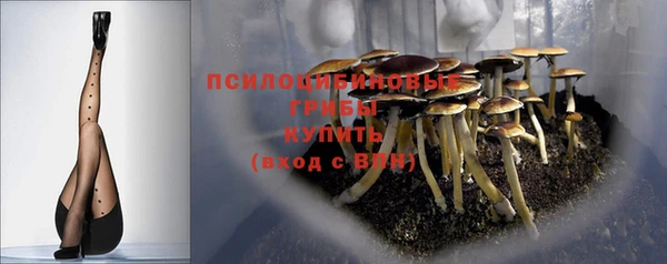 молекула духа Арсеньев