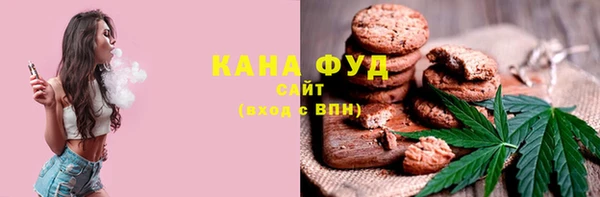 молекула духа Арсеньев