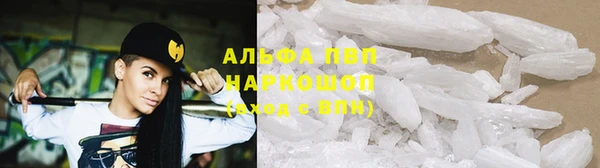 молекула духа Арсеньев