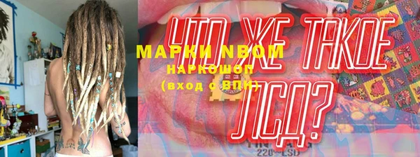молекула духа Арсеньев