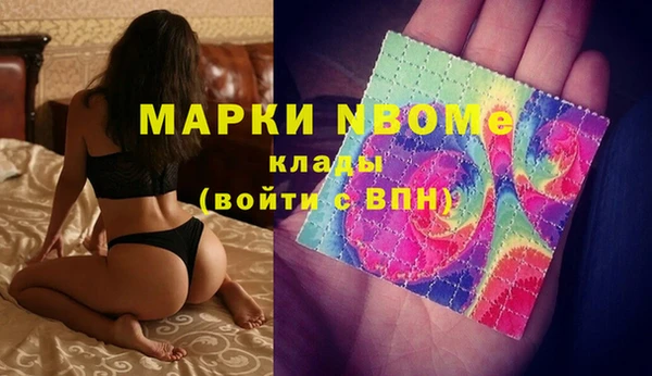 молекула духа Арсеньев