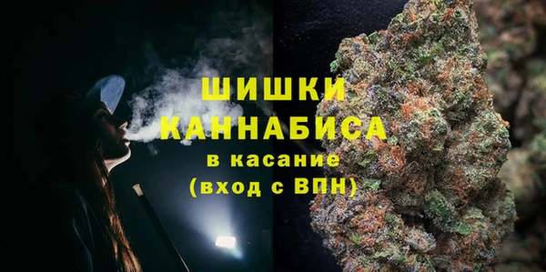 гашик Аркадак