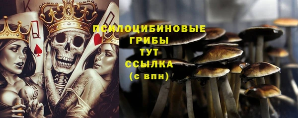 гашик Аркадак