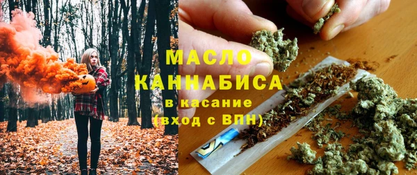 молекула духа Арсеньев