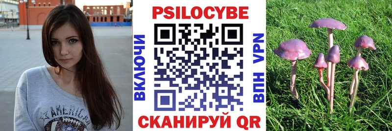 Псилоцибиновые грибы прущие грибы  Купить  Арамиль 