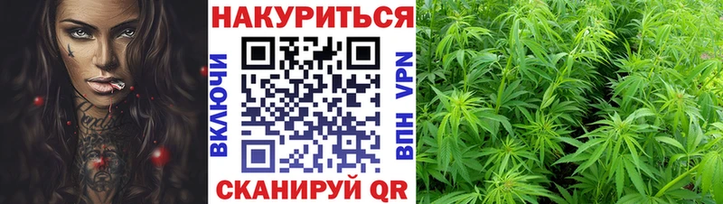 Бошки Шишки SATIVA & INDICA  Купить  Арамиль 